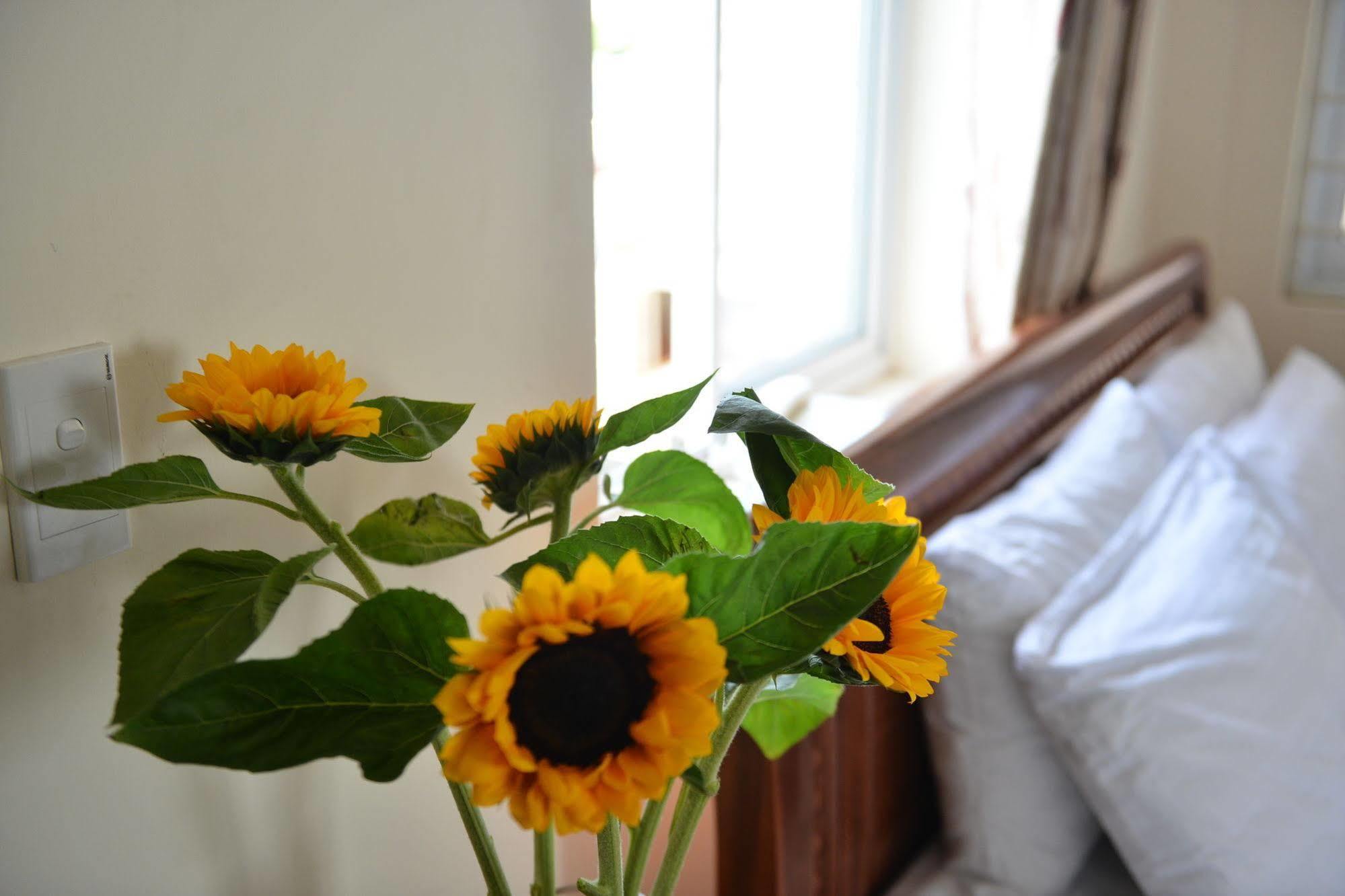Oc Tien Sa Hotel Da Nang Esterno foto