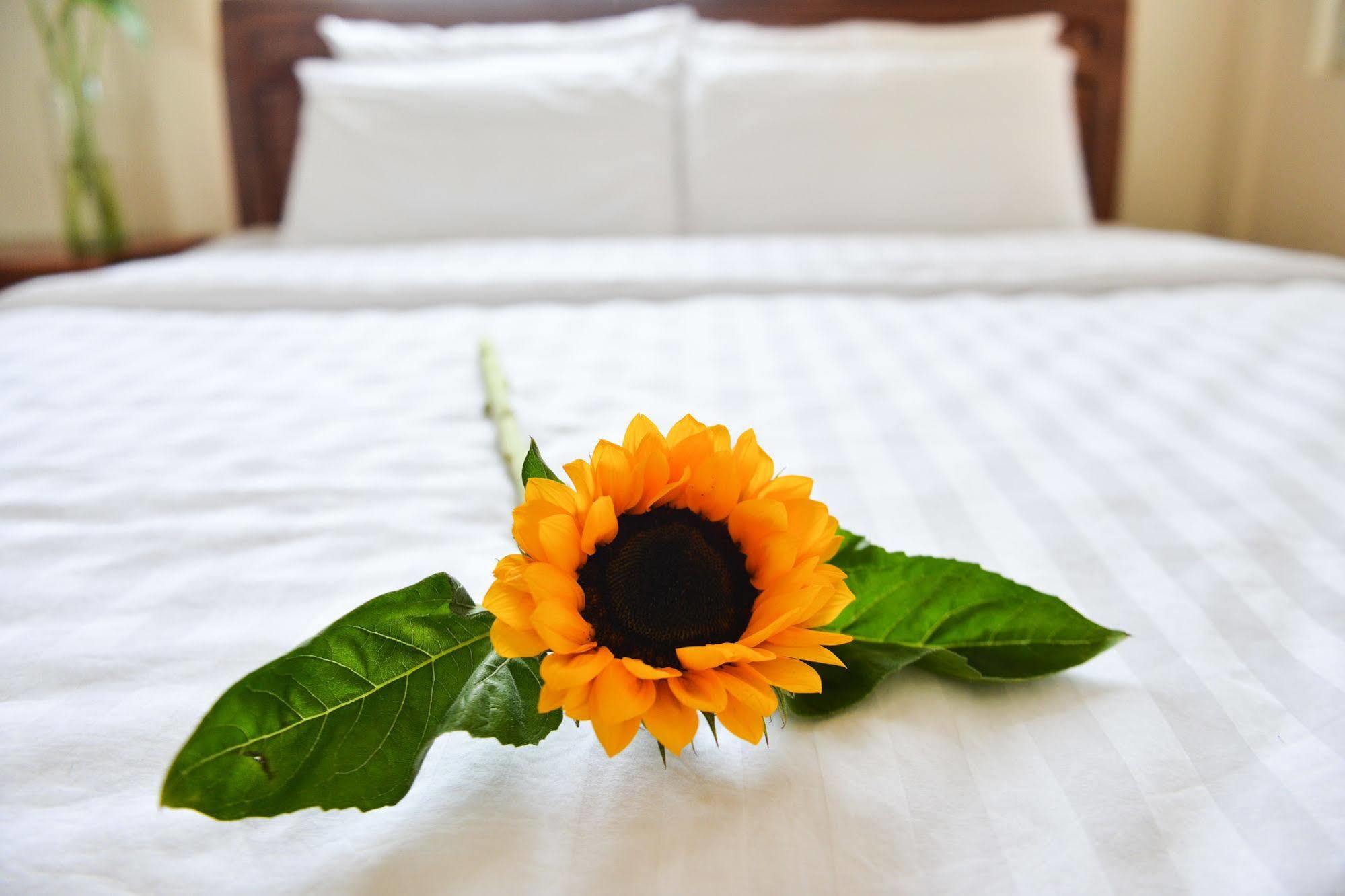 Oc Tien Sa Hotel Da Nang Esterno foto